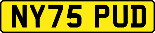 NY75PUD