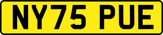 NY75PUE