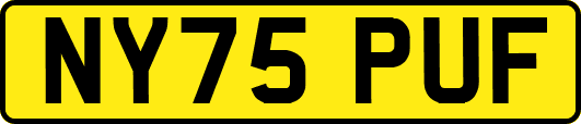 NY75PUF