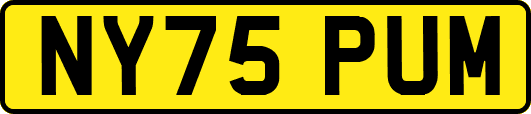 NY75PUM