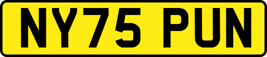 NY75PUN