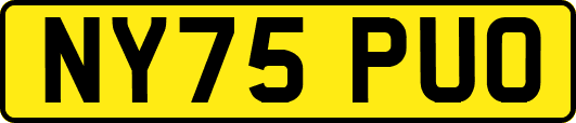 NY75PUO