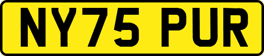 NY75PUR