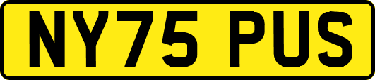 NY75PUS