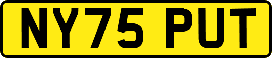 NY75PUT