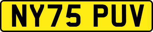 NY75PUV