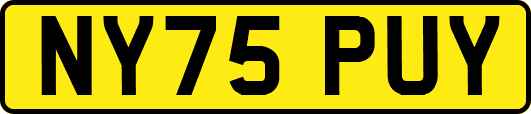 NY75PUY