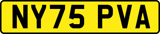 NY75PVA