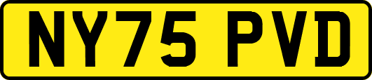 NY75PVD