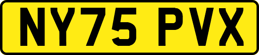 NY75PVX