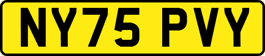NY75PVY