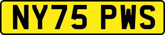 NY75PWS