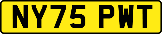 NY75PWT