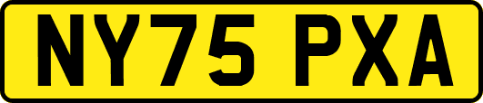 NY75PXA