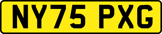 NY75PXG