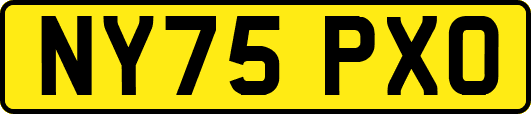 NY75PXO