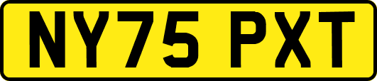 NY75PXT