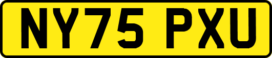 NY75PXU