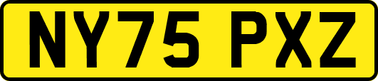 NY75PXZ