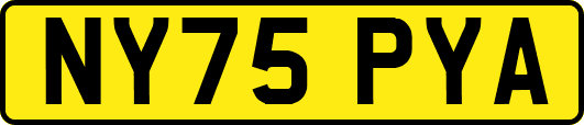 NY75PYA