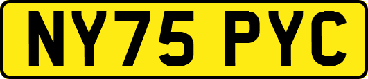 NY75PYC