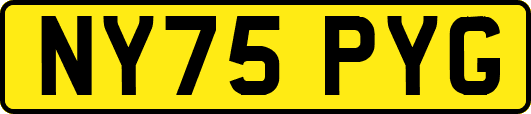 NY75PYG