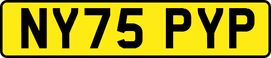 NY75PYP
