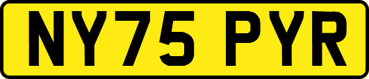 NY75PYR