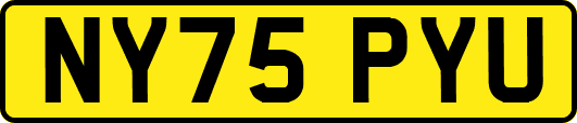 NY75PYU