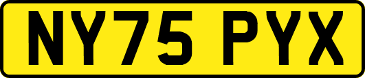 NY75PYX