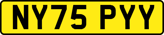 NY75PYY