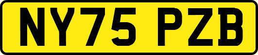 NY75PZB