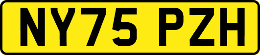 NY75PZH