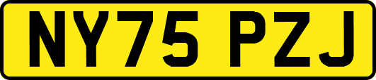 NY75PZJ