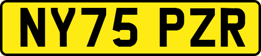 NY75PZR
