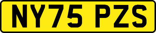 NY75PZS