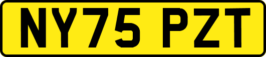 NY75PZT