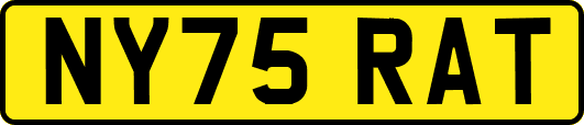 NY75RAT