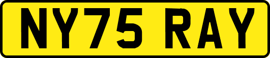 NY75RAY