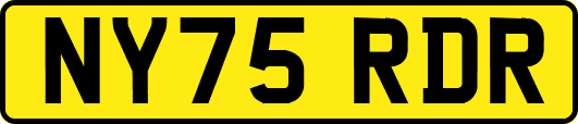 NY75RDR