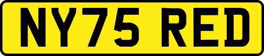 NY75RED