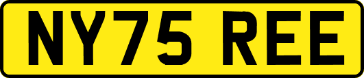 NY75REE