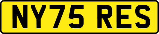 NY75RES