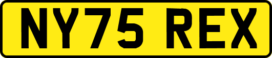 NY75REX