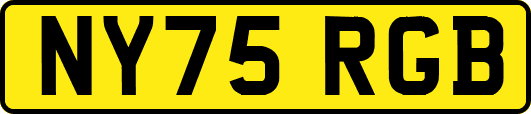 NY75RGB
