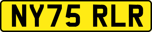 NY75RLR