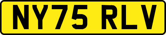 NY75RLV