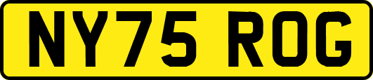NY75ROG