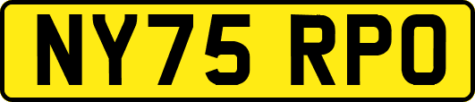 NY75RPO