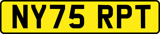 NY75RPT
